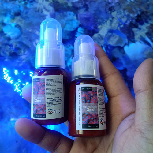 Phù Du Thái - Thức Ăn San Hô Dạng Lỏng