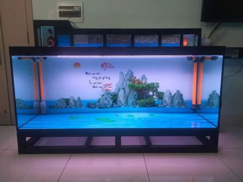 hồ cá cảnh 2