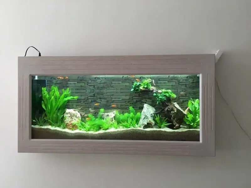 hồ cá cảnh treo tường