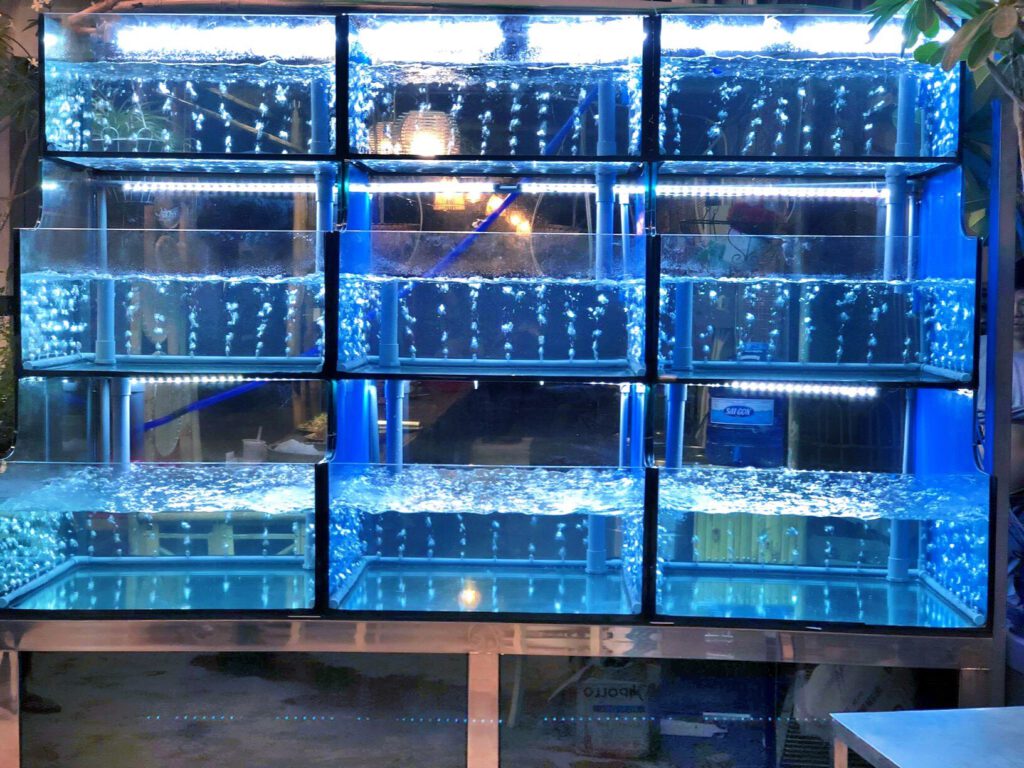 hồ hải sản 1