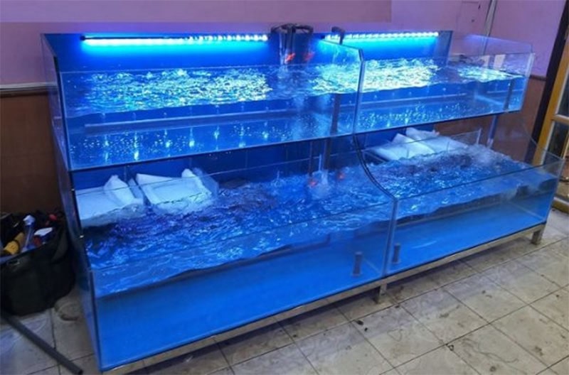 hồ hải sản 2 tầng 1