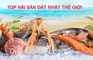 top hải sản đắt nhất thế giới