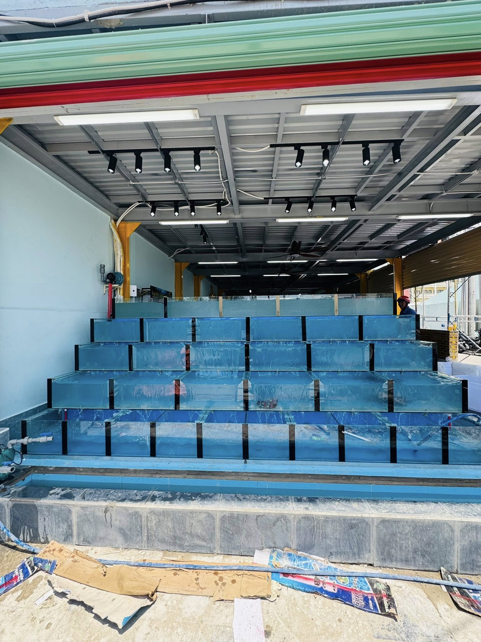 hồ hải sản anh phong vũng tàu