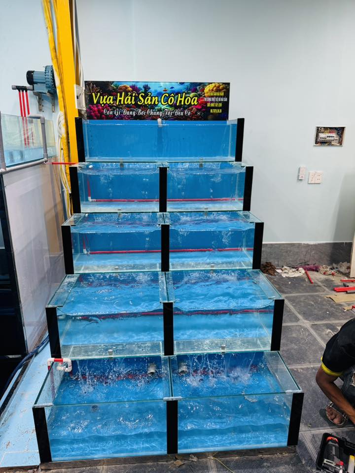 hồ hải sản anh phong vũng tàu