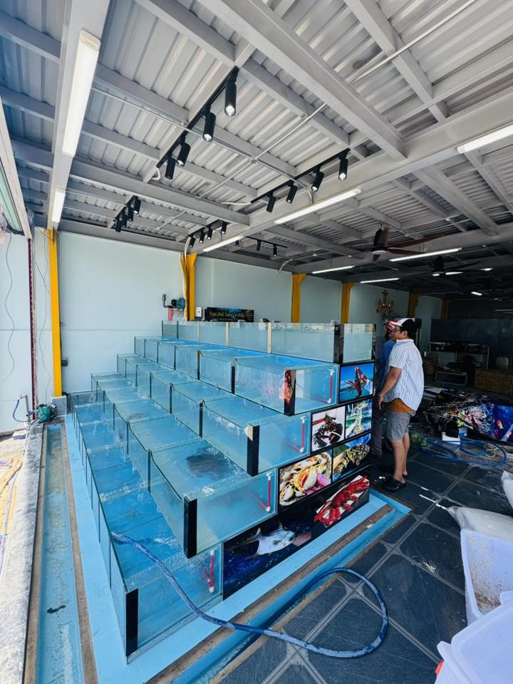 hồ hải sản anh phong vũng tàu